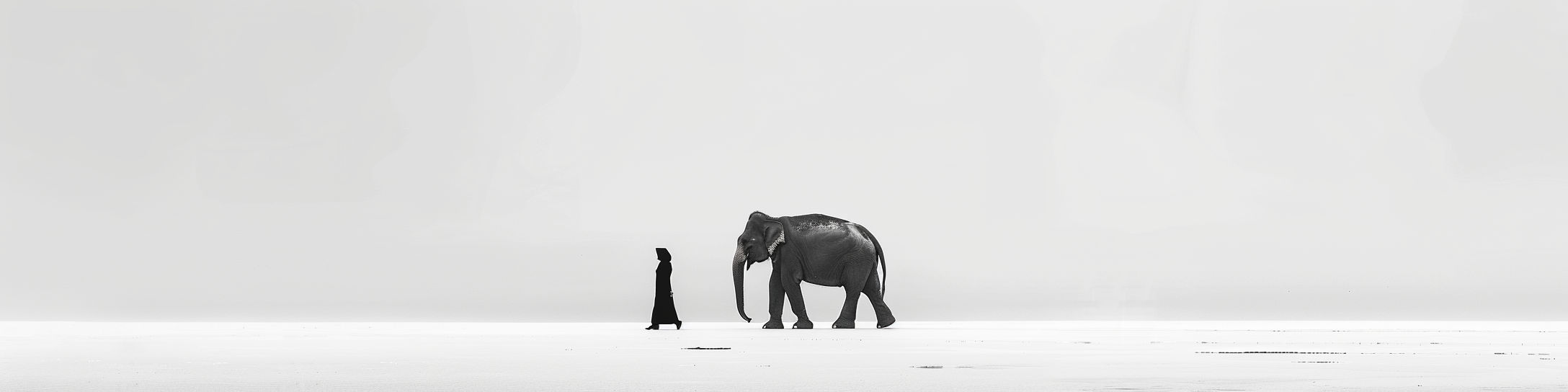 vietnamese woman walking with an elephant in the distance